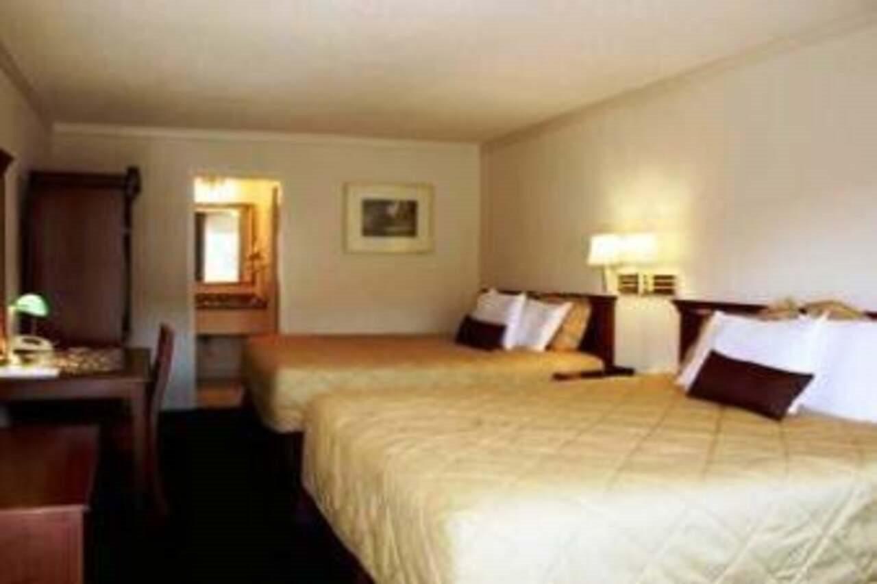 Pacific Motor Inn San José Zimmer foto